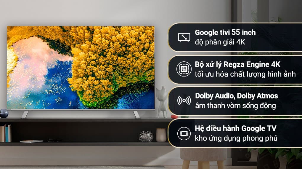 Ảnh Google Tivi Toshiba 4K 55 inch 55C350LP
