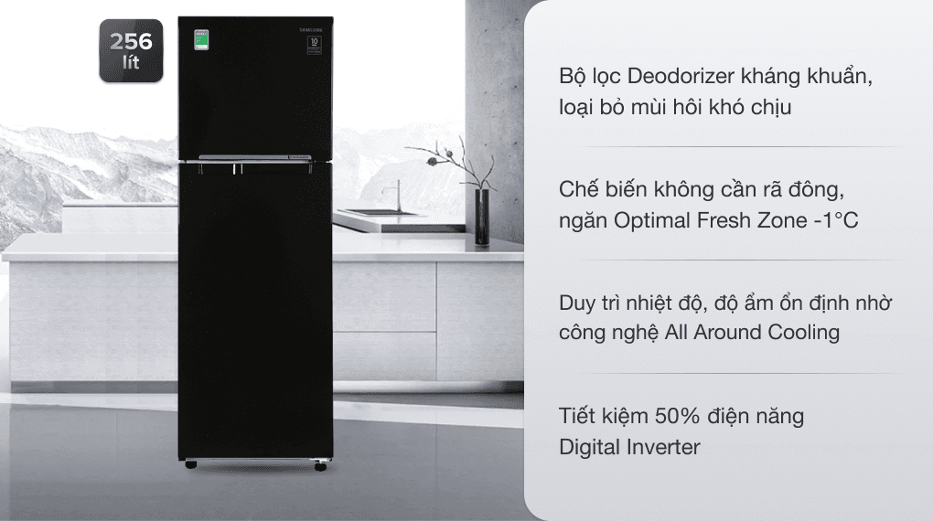 Ảnh Tủ lạnh Samsung Inverter 256 lít RT25M4032BU/SV