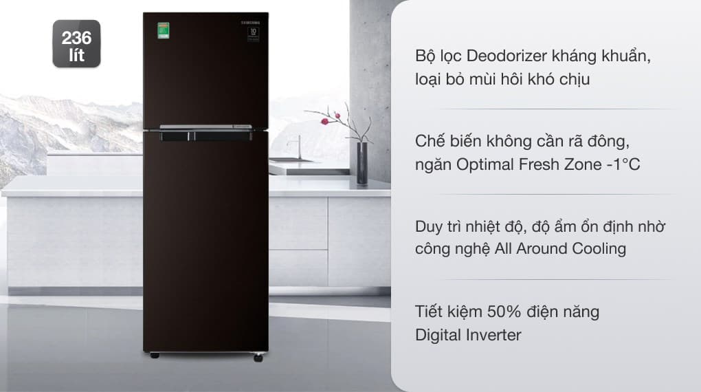 Ảnh Tủ lạnh Samsung Inverter 236 lít RT22M4032BY/SV