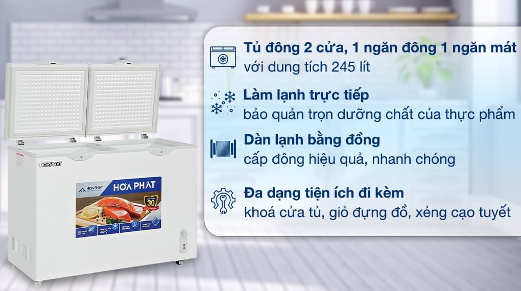 Ảnh Tủ đông Hòa Phát 245 Lít HPF BD6245
