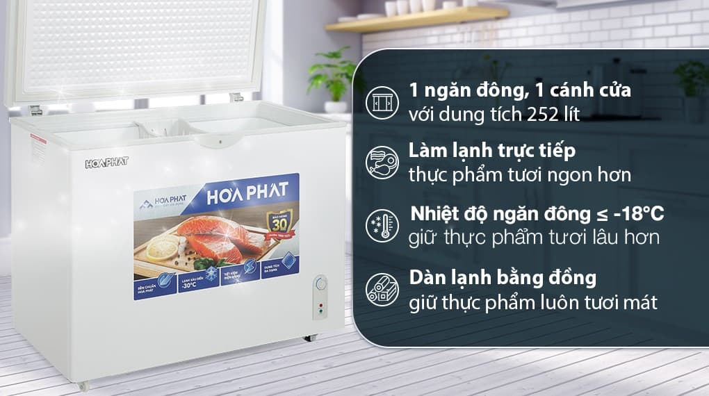 Ảnh Tủ đông Hòa Phát 252 lít HPF AD6252