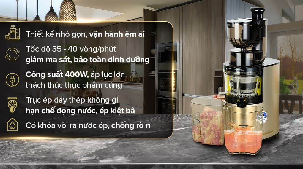 Ảnh Máy ép chậm BlueStone SJB-6578