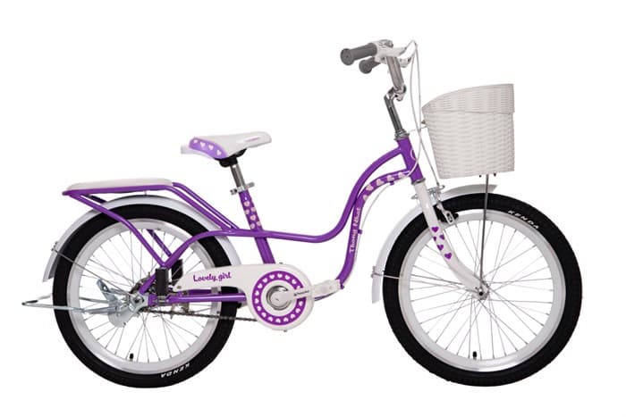 Ảnh Xe Đạp Trẻ Em Nữ Thống Nhất Neo 20-04 20 inch (Có giỏ xe)