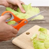 Kéo nhà bếp thép không gỉ 2Cr13 Delites KE004