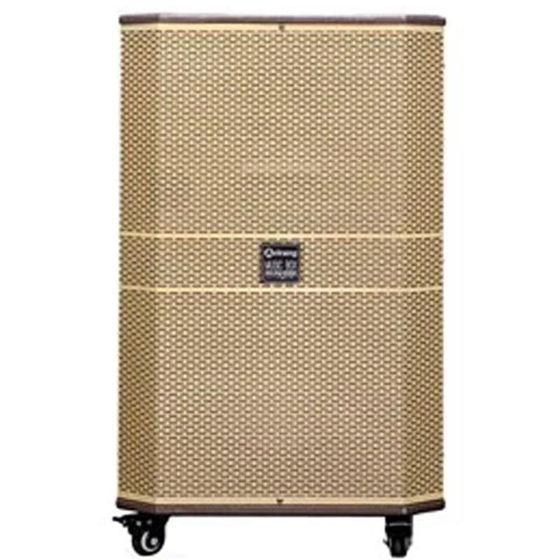 Loa điện Arirang MK40C 450w Bass40 kèm 2 micro