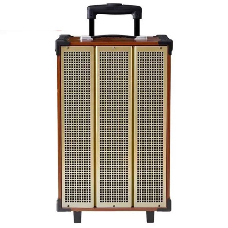Loa điện Arirang MKS1 (kèm 2 mic) 300W Bass 30cm 12''