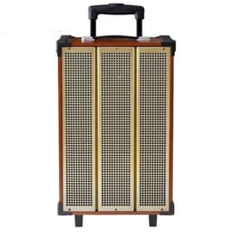 Loa điện Arirang MKS1 (kèm 2 mic) 300W Bass 30cm 12''