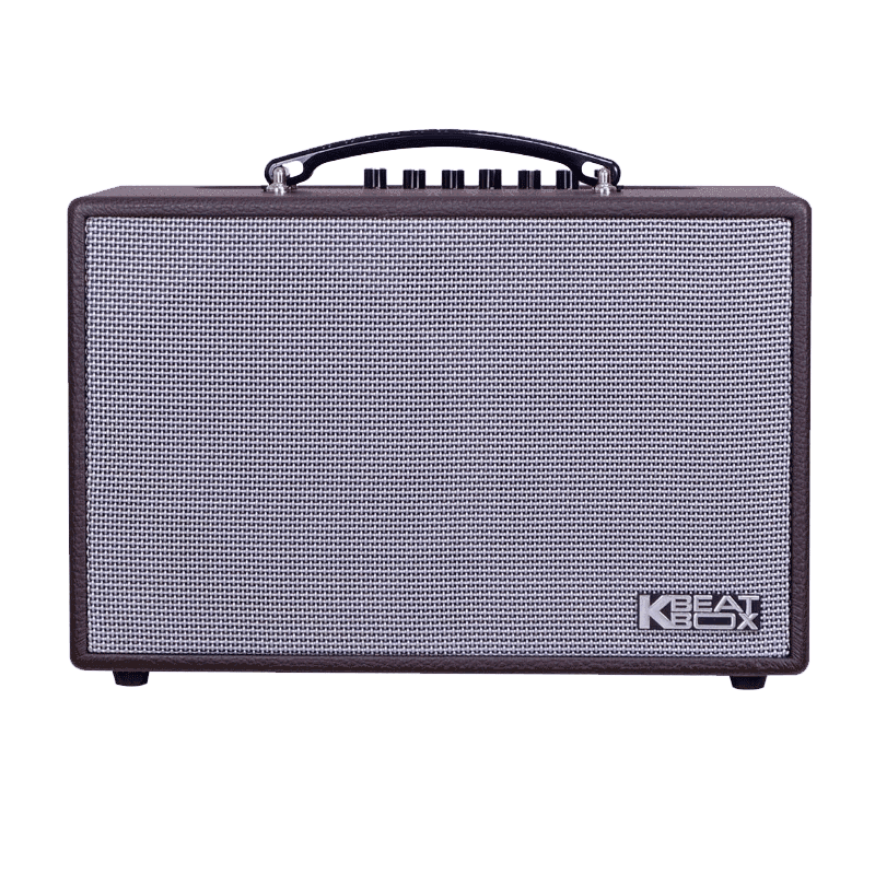 Loa xách tay Acnos 300W Bass16 CS160 (2 mic)