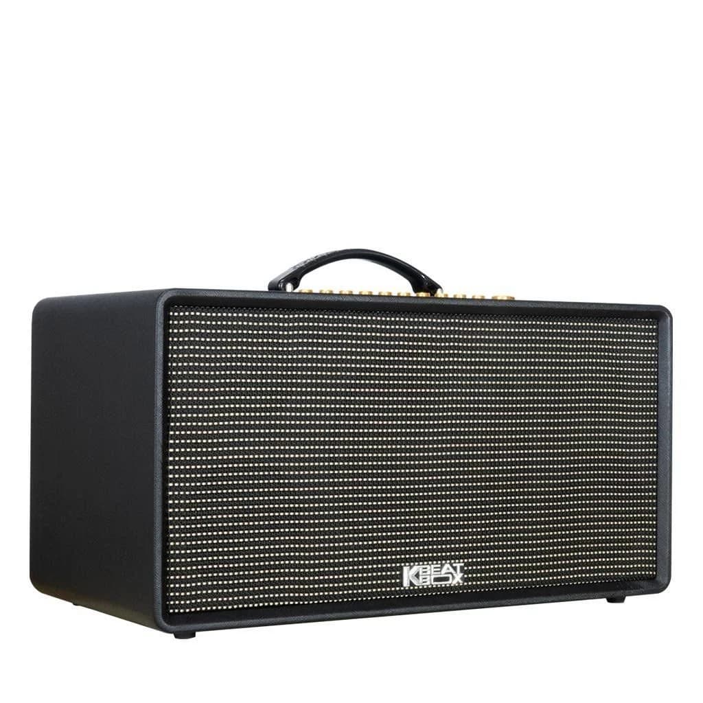 Ảnh Loa xách tay Acnos Flac 36 PMPO 1.000w (2 mic)