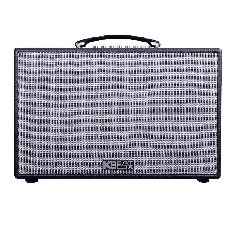 Loa xách tay Acnos 200W Bass20 CS201PU (2 mic)