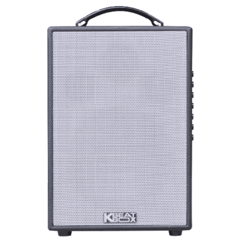 Loa xách tay Acnos Bass20 300W CS121 (2 mic)