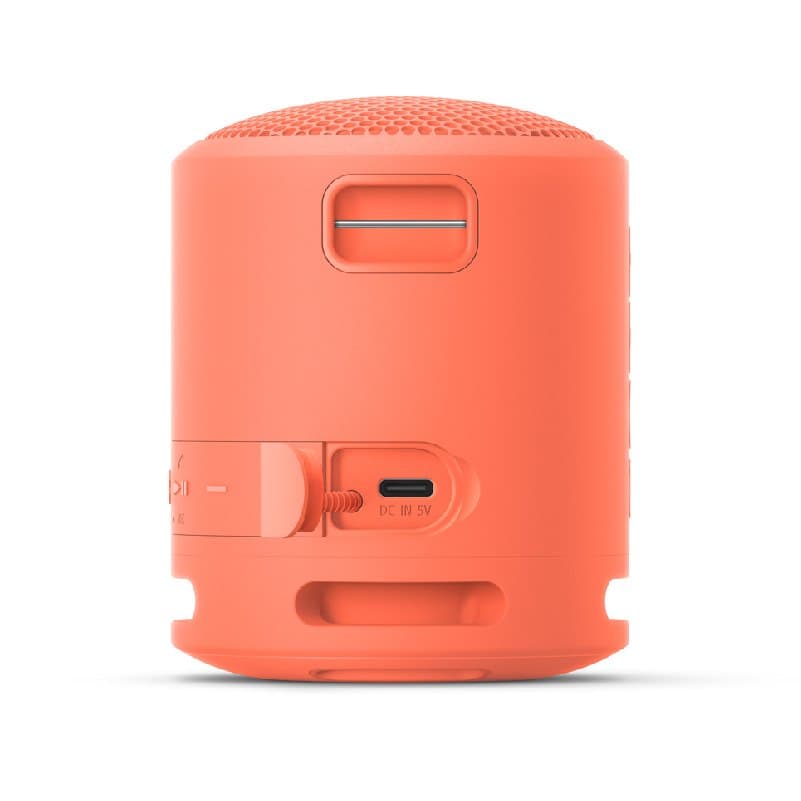 Ảnh Loa di động SONY SRS-XB13/PC E
