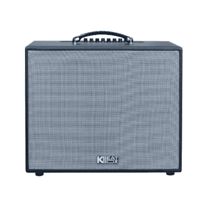 Loa xách tay Acnos CS25D300 250w Bass25 (2mic)