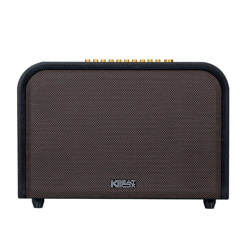 Dàn Âm Thanh Di Động ACNOS Acoustic 3 (2 mic)