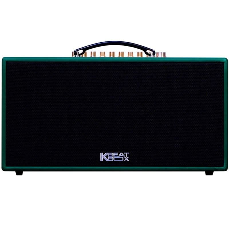 Loa xách tay mini Acnos CS445D 500W kèm 2 micro