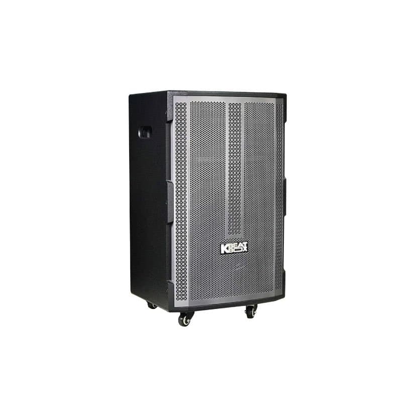 Ảnh Loa điện Acnos CBX150G (kèm 2 mic) 450W Bass 40cm 15''
