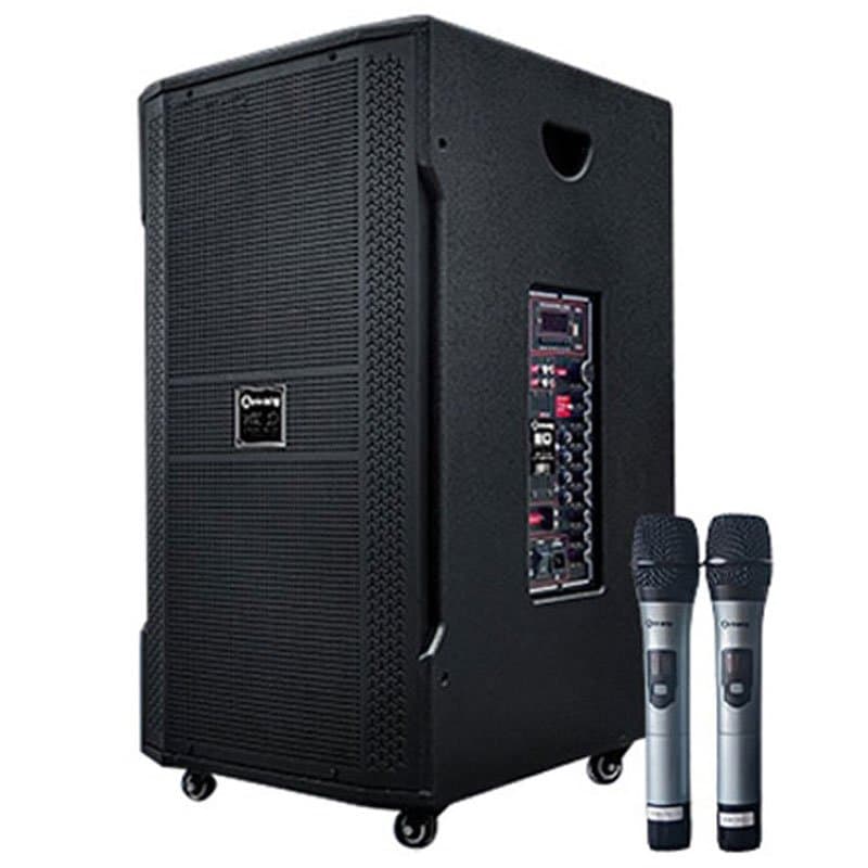 Ảnh Loa điện Arirang MK3 (kèm 2 mic) 700W Bass 40cm 15''