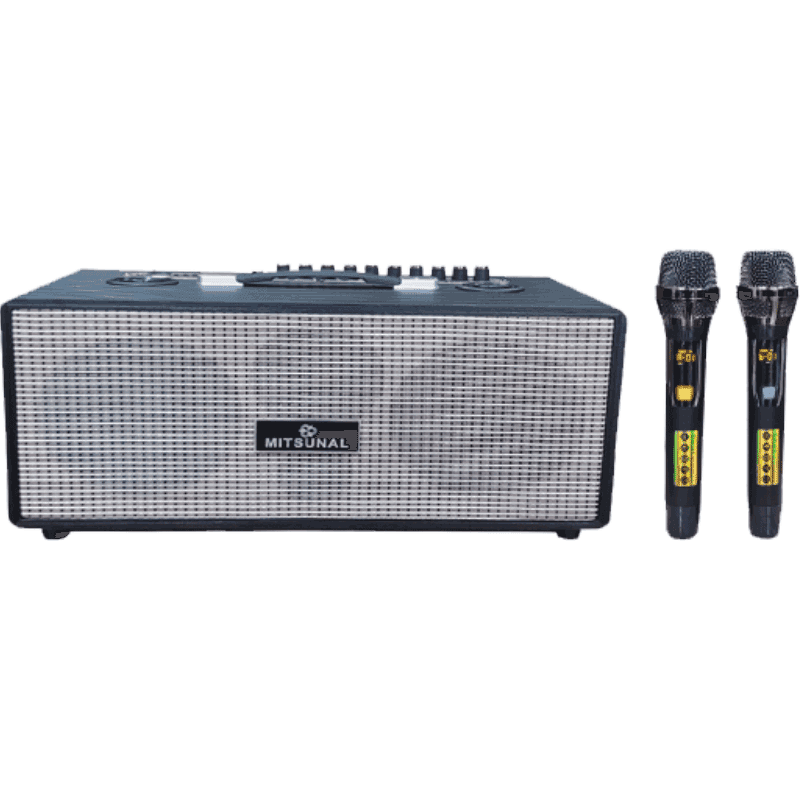 Loa xách tay mini Mitsunal M5S 480W Bass20 (kèm 2 mic) 6''