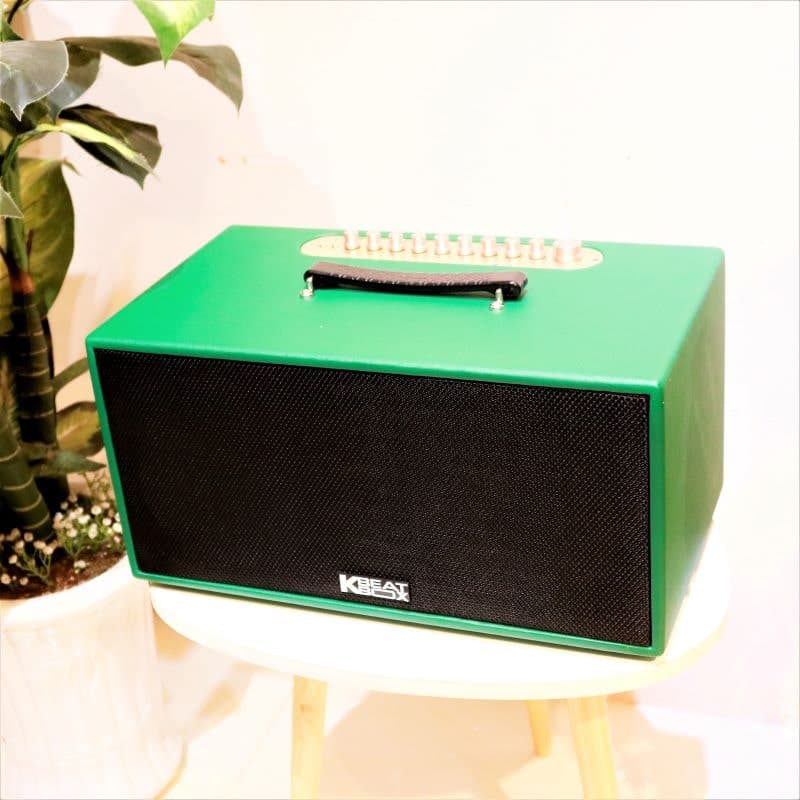 Ảnh Loa xách tay mini Acnos CS445D 500W kèm 2 micro