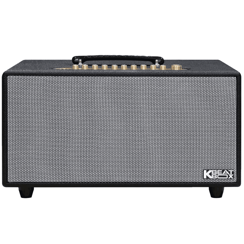 Loa xách tay Acnos Hinet450 (2 mic)