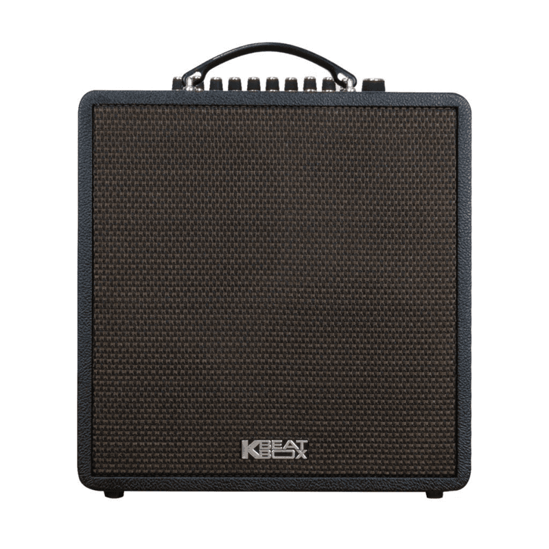Loa xách tay Acnos Quad 64 600w (2 mic)