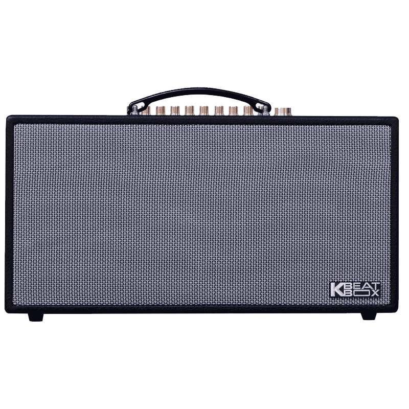 Loa xách tay Acnos 750W CS450ALPHA (2 mic)