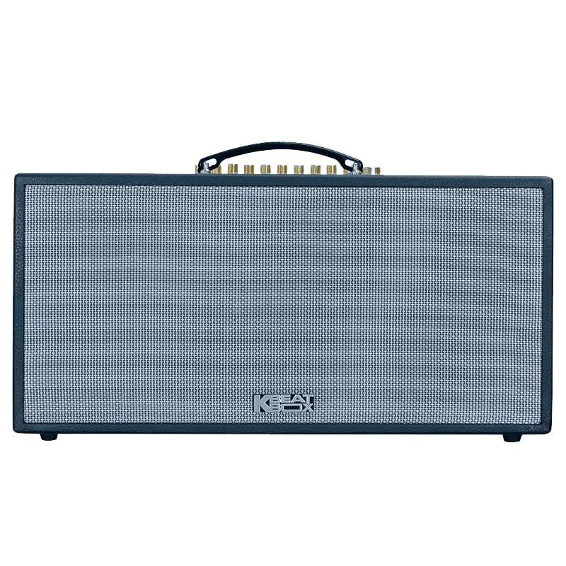 Loa xách tay Acnos 1000W CS451PLUS (2 mic)