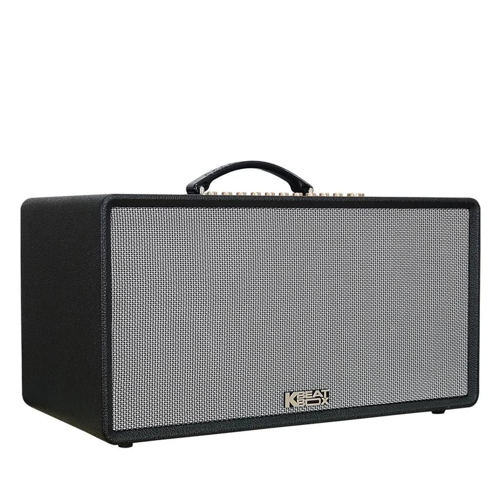 Ảnh Loa xách tay Acnos Flac36 (2 mic)