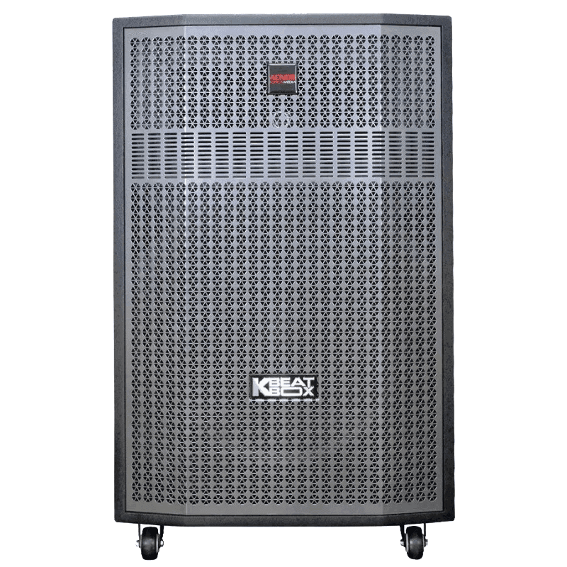 Loa kéo Acnos 750W Bass50 CB56GD (2 mic)