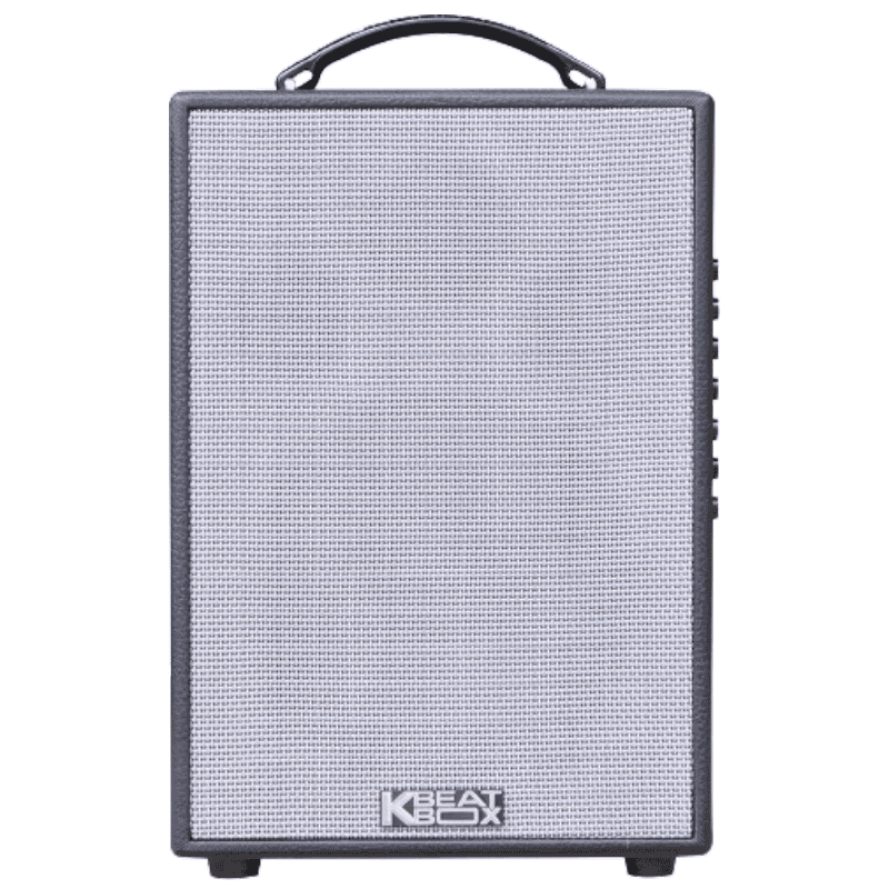 Loa xách tay Acnos Bass20 CS141 (2 mic)