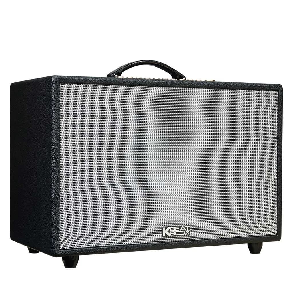 Ảnh Loa xách tay Acnos CS3600 (2 mic)