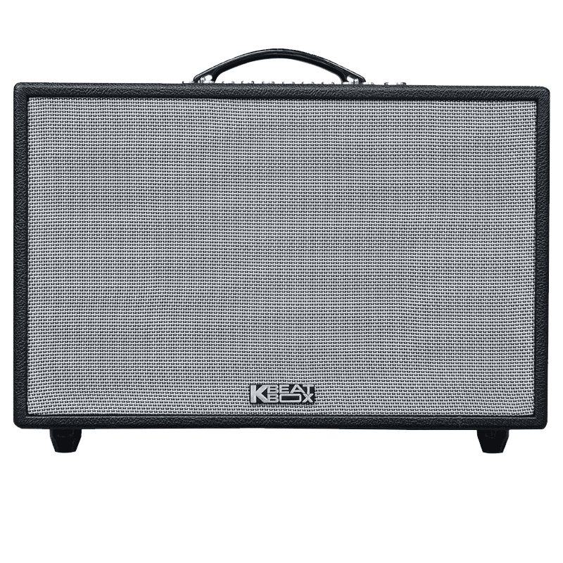 Loa xách tay Acnos CS3600 (2 mic)