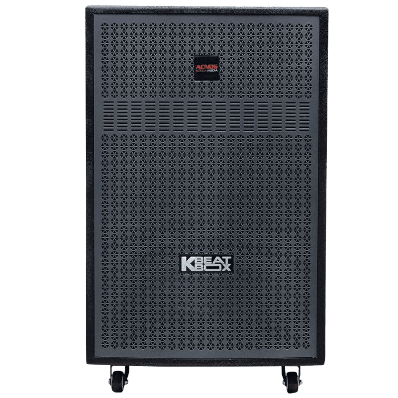 Loa kéo Acnos 450W Bass40 CB405G/GD (2 mic)