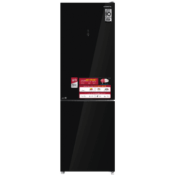 Tủ lạnh 2 cửa Inverter Coex RT-4011GBB-BS 322L