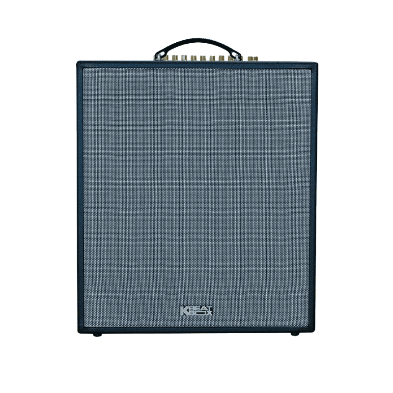 Loa xách tay Acnos 1200W CS550SR (2 mic)