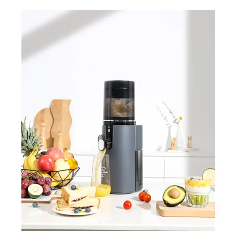 Ảnh Máy ép chậm đa năng Roler RS-4460