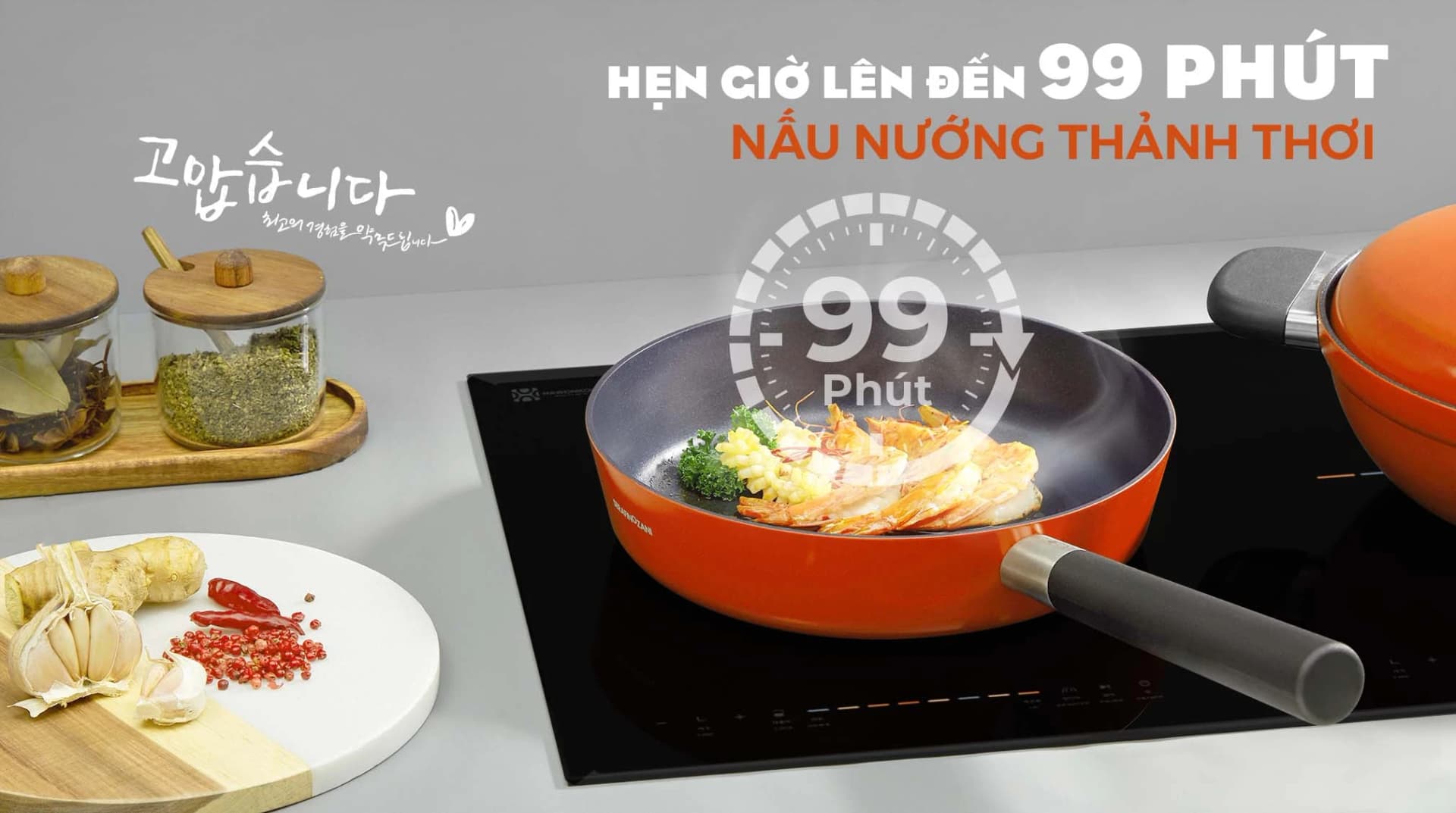 Ảnh Bếp từ đôi Hawonkoo CEH-227-II 3800W