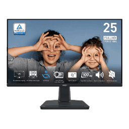 Màn hình MSI PRO MP251 (24.5Inch/ Full HD/ 1ms/ 100HZ/ 300 cd/m2/ IPS/ Loa)