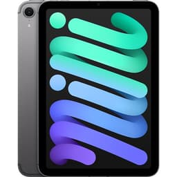 Máy tính bảng iPad mini 7 5G 128GB