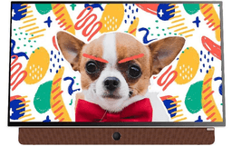 Google Tivi Skyworth 2K 24 Inch 24P6300