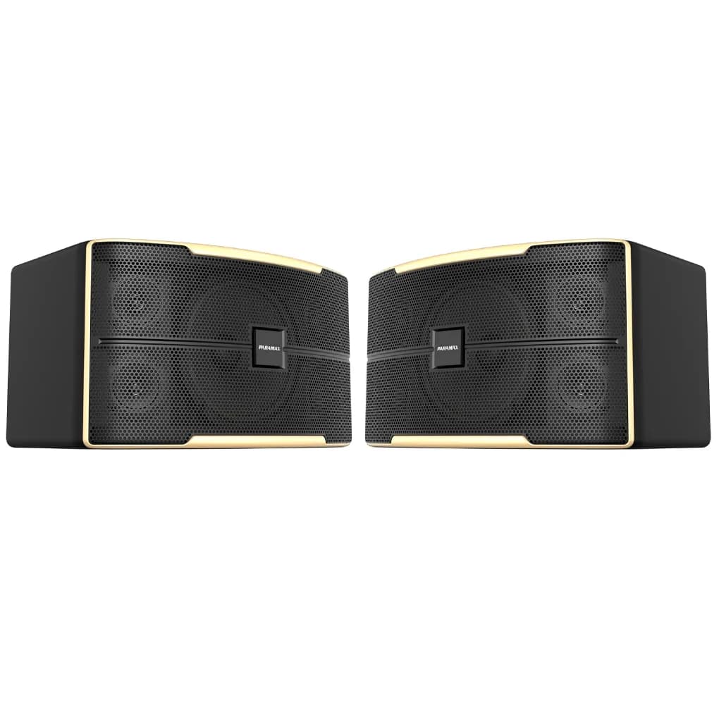 Ảnh Loa Karaoke 10 Inches Paramax Z-1500