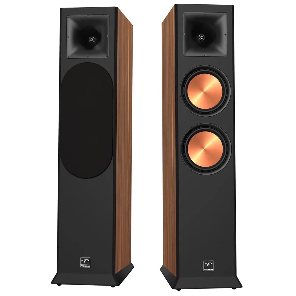 Ảnh Loa Nghe Nhạc và Karaoke Hi-Fi PARAMAX EURO 8 Limited (Walnut)