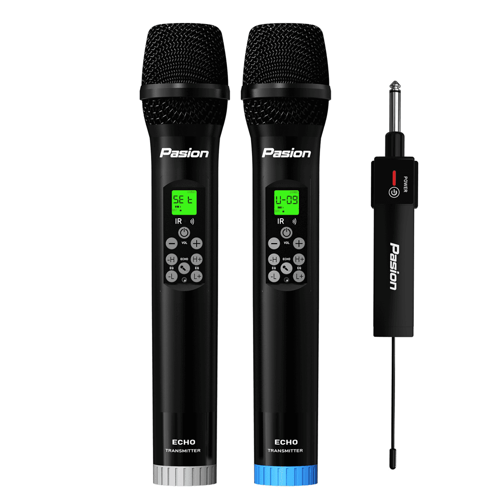 Micro Không Dây Tích Hợp DSP PASION ECHO