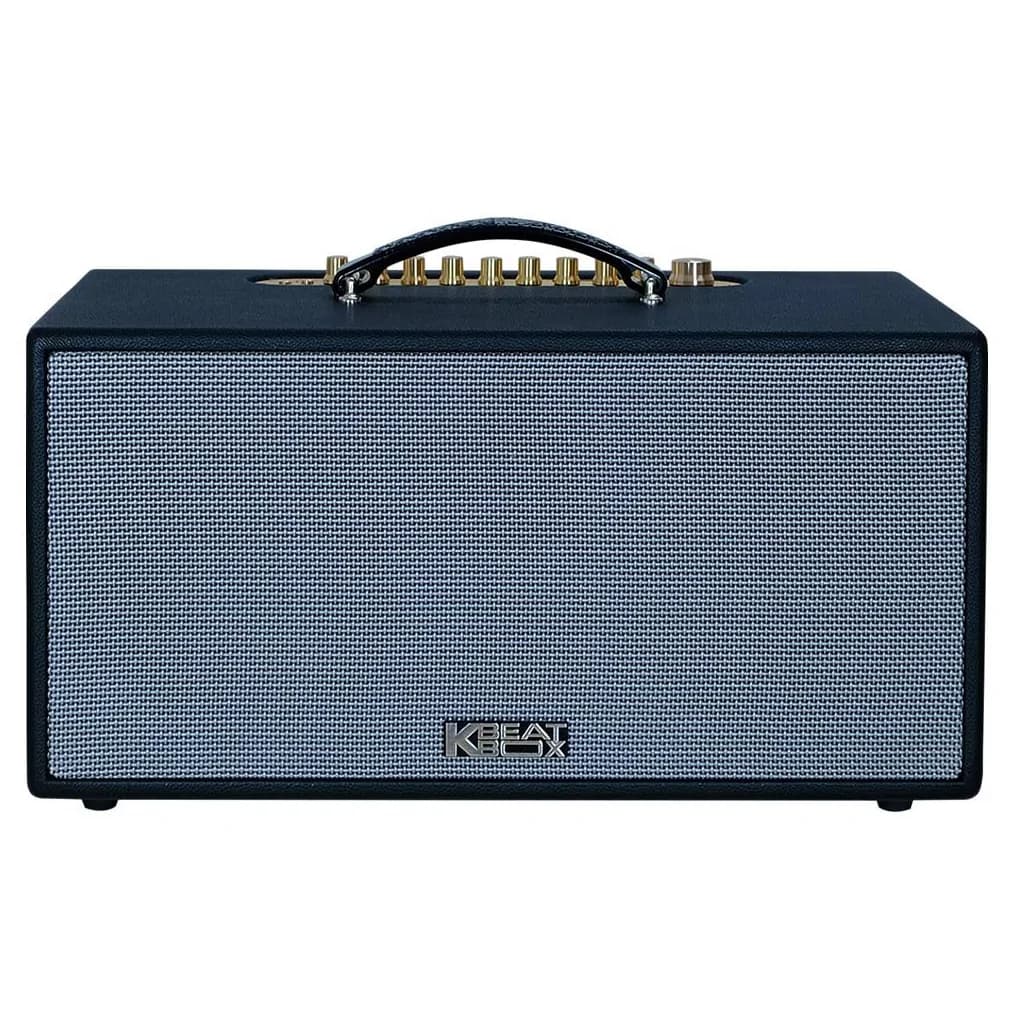 Ảnh Dàn Âm Thanh Di Động ACNOS CS445D