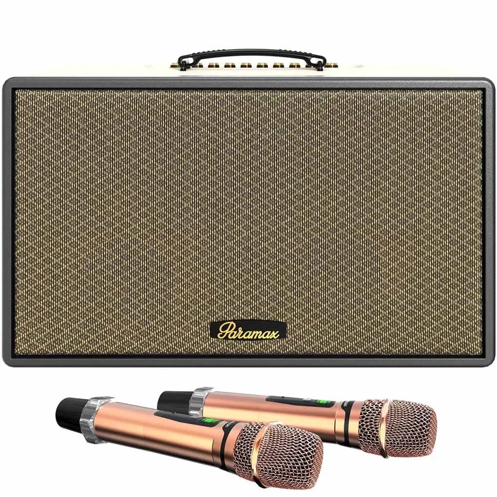 Ảnh Loa Di Động Xách Tay Paramax Saga (Cream Leather)