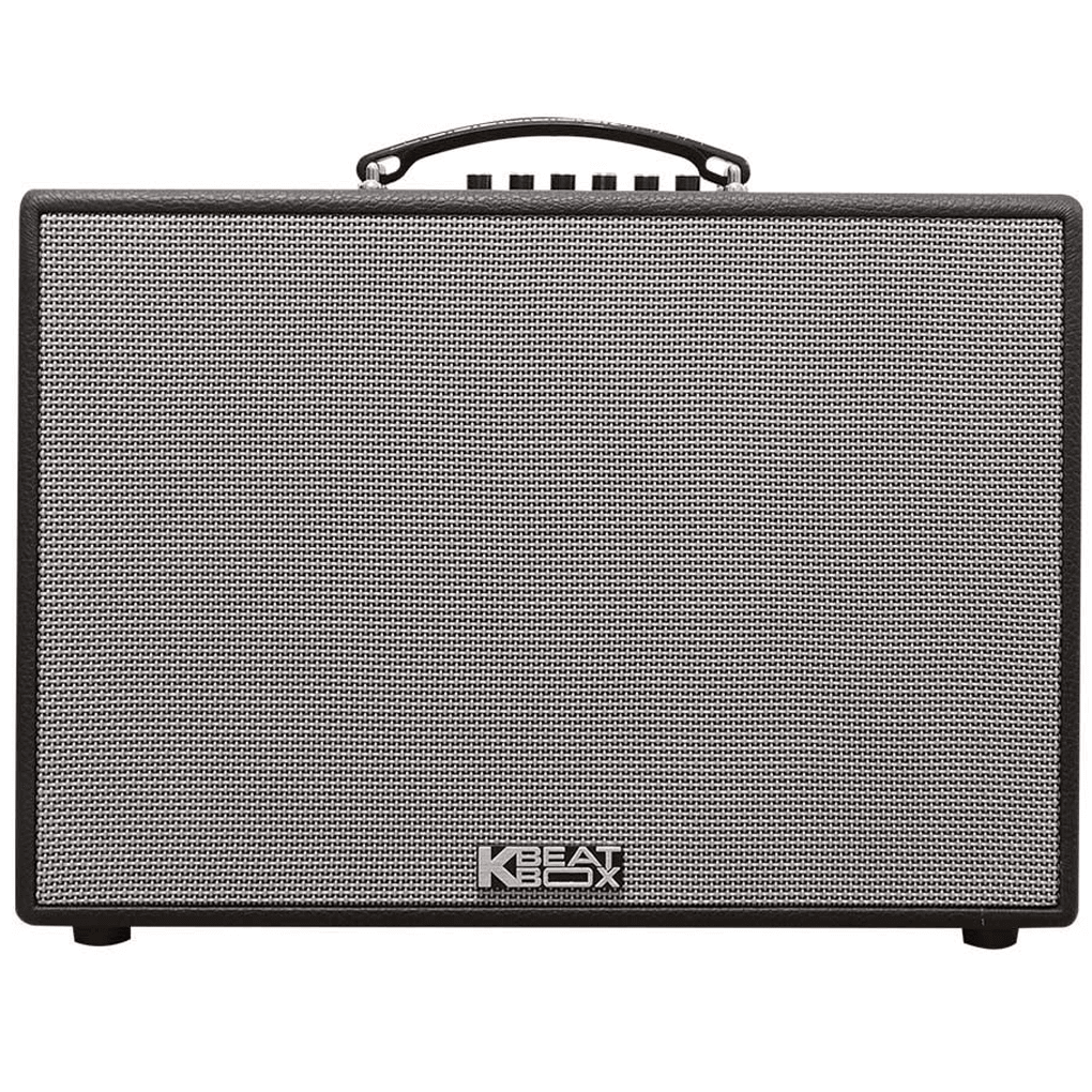 Loa Karaoke Xách Tay ACNOS CS250PUW 300W