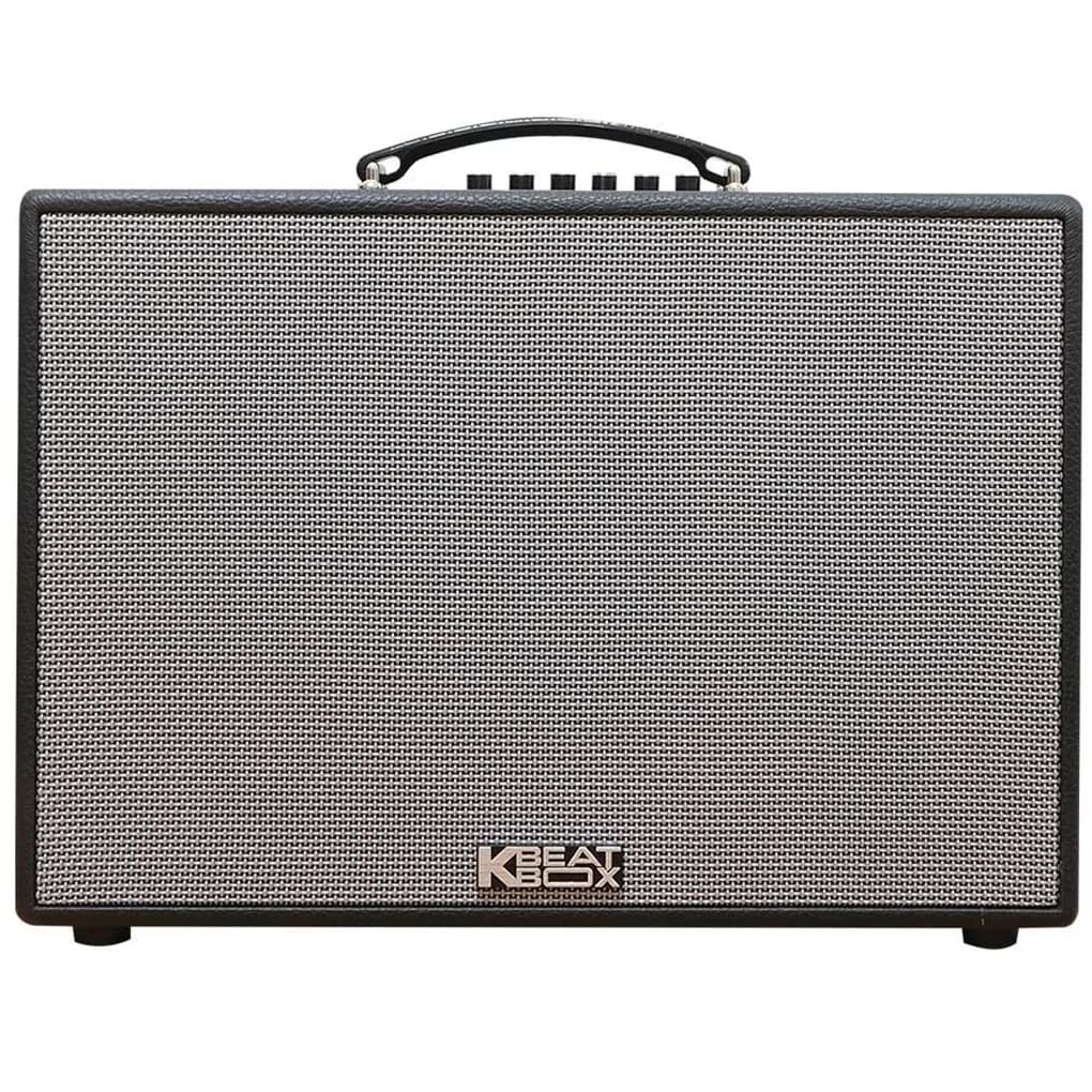 Ảnh Loa Karaoke Xách Tay ACNOS CS250PUW 300W