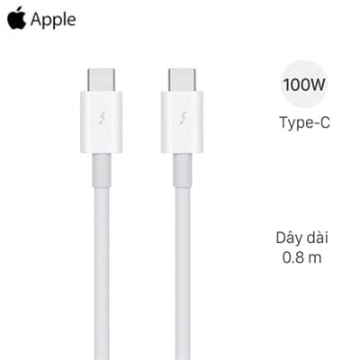 Cáp Type-C - Type-C 0.8m Apple MQ4H2