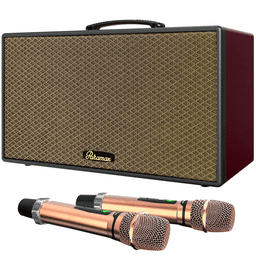 Loa Karaoke Di Động Xách Tay Paramax Aura (Burgundy Leather)