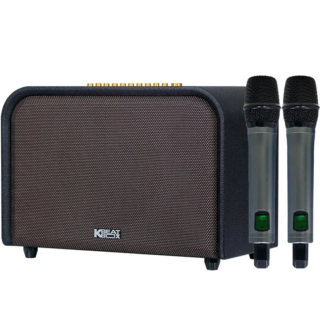 Ảnh Loa Karaoke Xách Tay Acnos Acoustic 3 (Màu Đen)